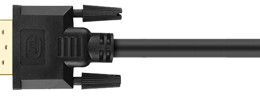 DVI Cable 2