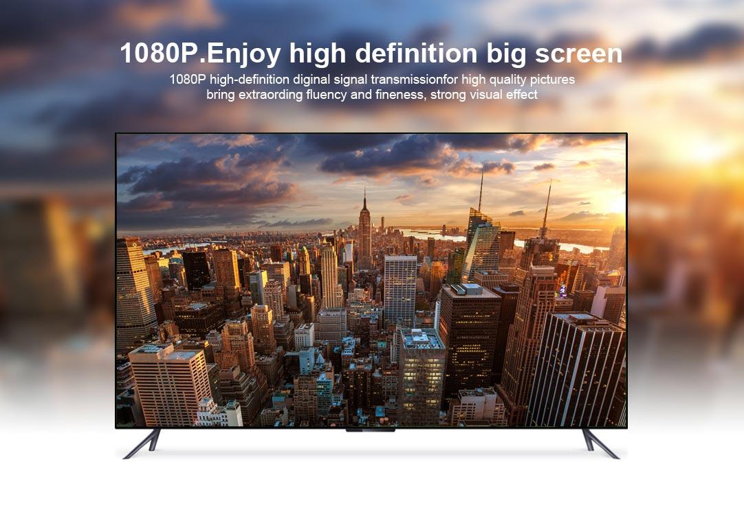 DVI Cable 1080P