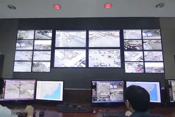 Public security