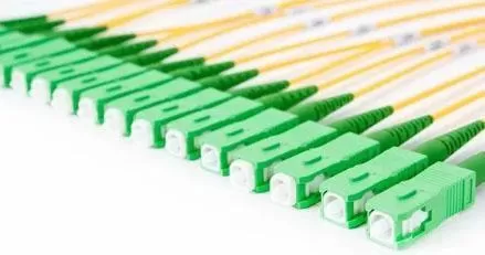 Fiber